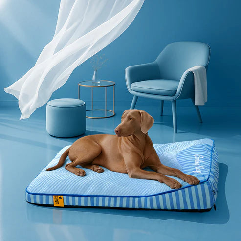 Pet Royal | Cool Bed