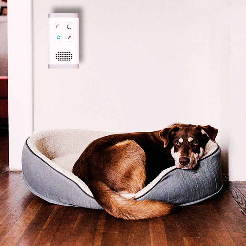Vita Royal | AirPure Plug-In Air Purifier