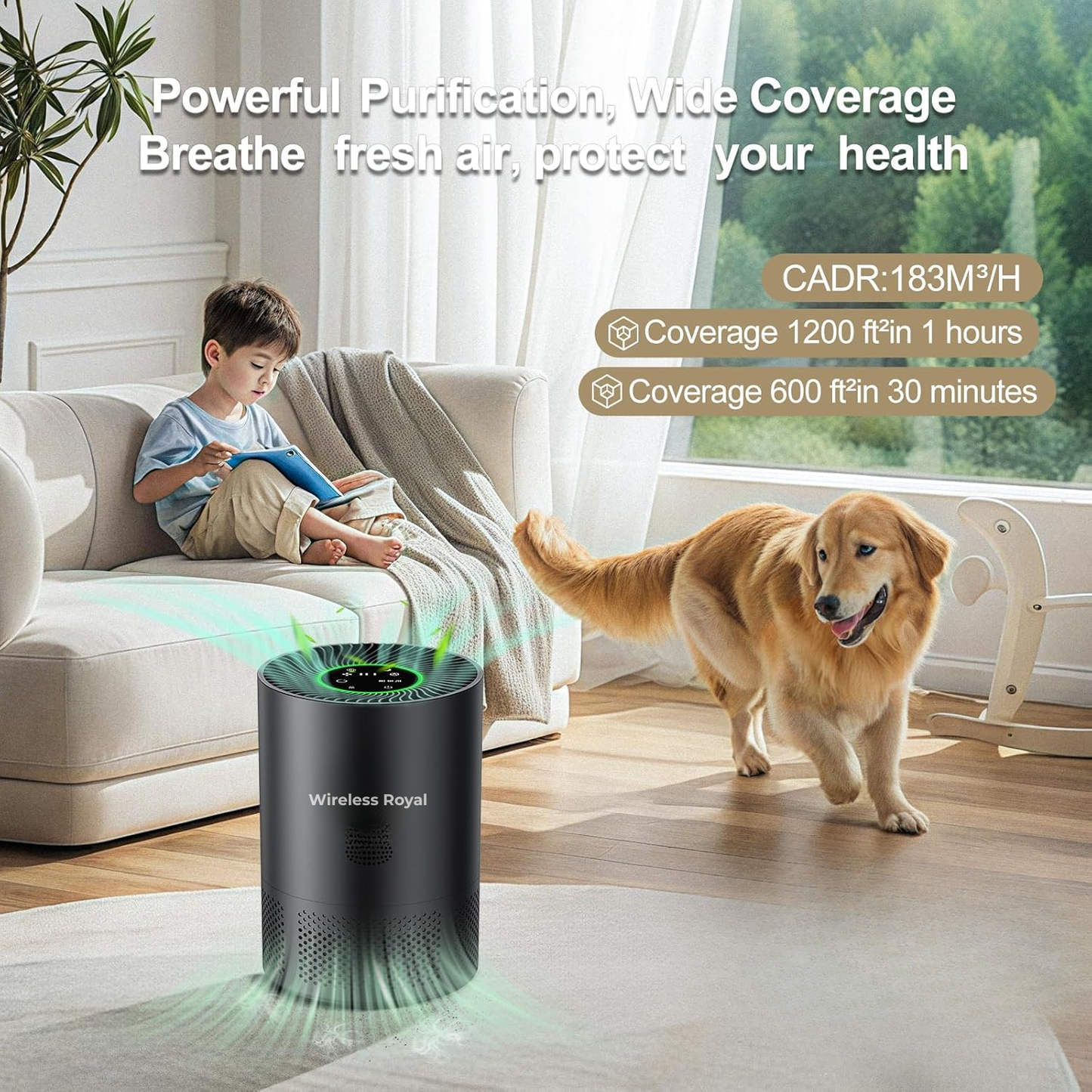 Wireless Royal | Pure Air