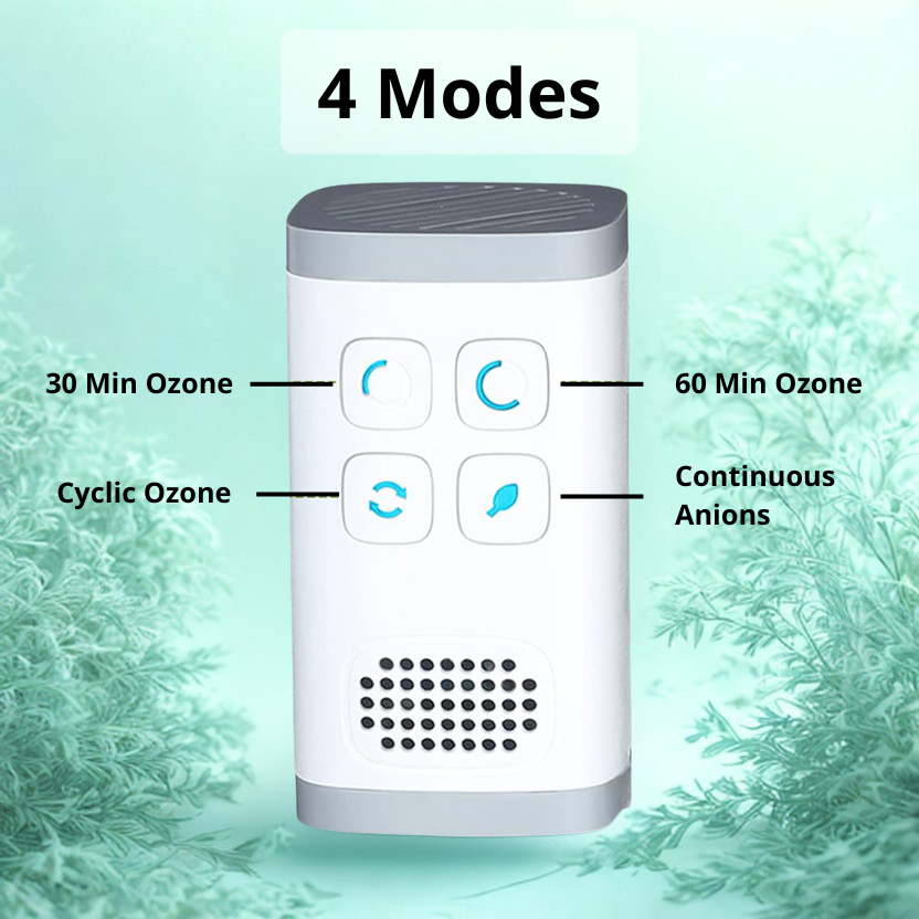 Vita Royal | AirPure Plug-In Air Purifier