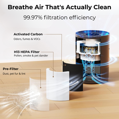 Wireless Royal | Pure Air